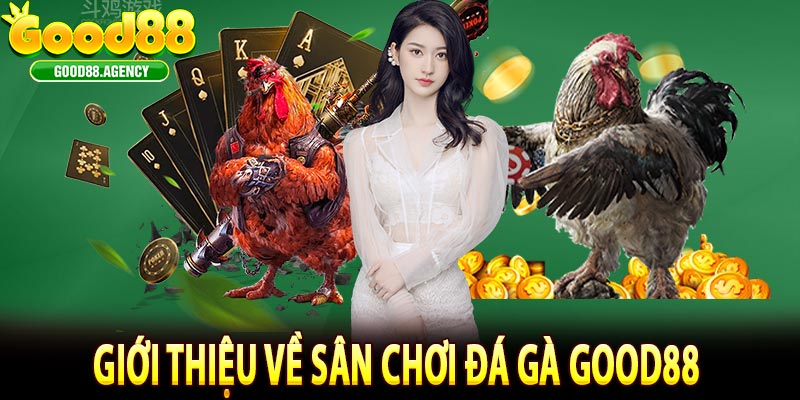 Giới thiệu về sân chơi đá gà good88