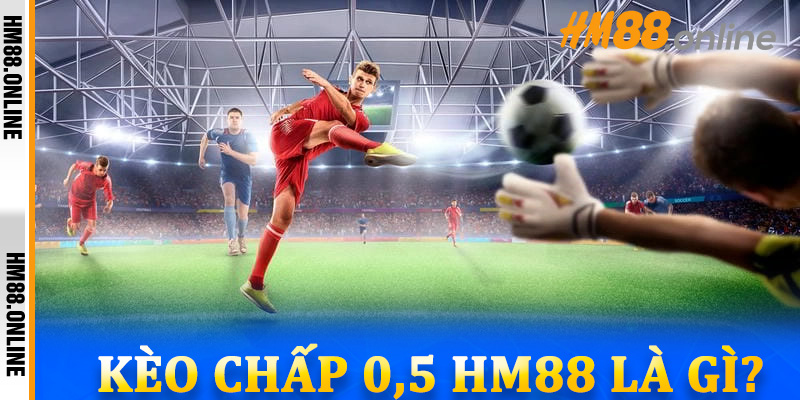 Kèo Chấp 0,5 hm88 là gì?
