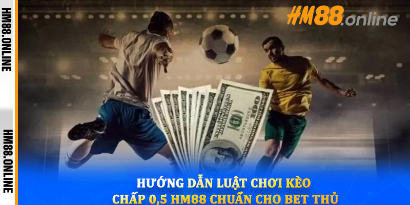 Hướng dẫn luật chơi kèo chấp 0,5 hm88 chuẩn cho bet thủ