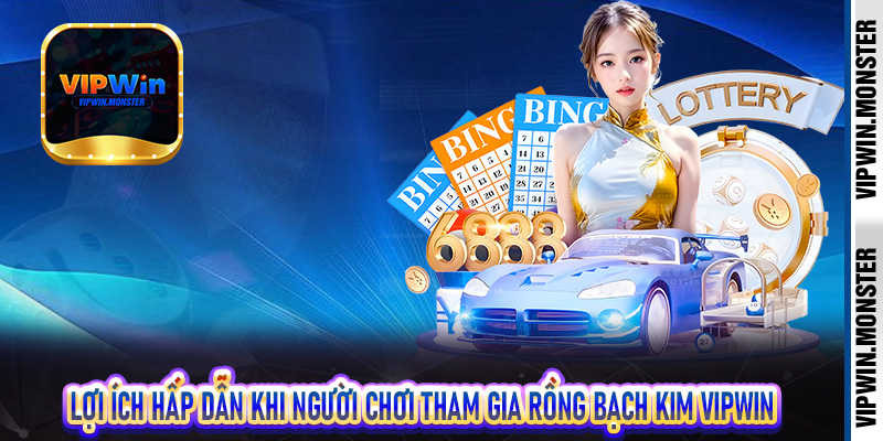 Lợi ích hấp dẫn khi người chơi tham gia rồng bạch kim Vipwin