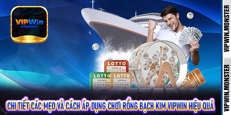 Chi tiết các mẹo và cách áp dụng chơi rồng bạch kim Vipwin hiệu quả