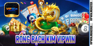 Rồng Bạch Kim Vipwin