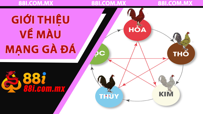 Giới thiệu về màu mạng gà đá