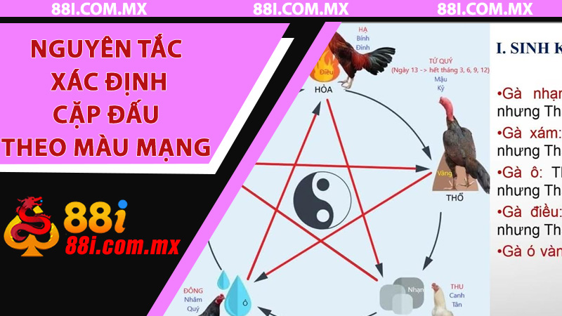Nguyên tắc xác định cặp đấu theo màu mạng