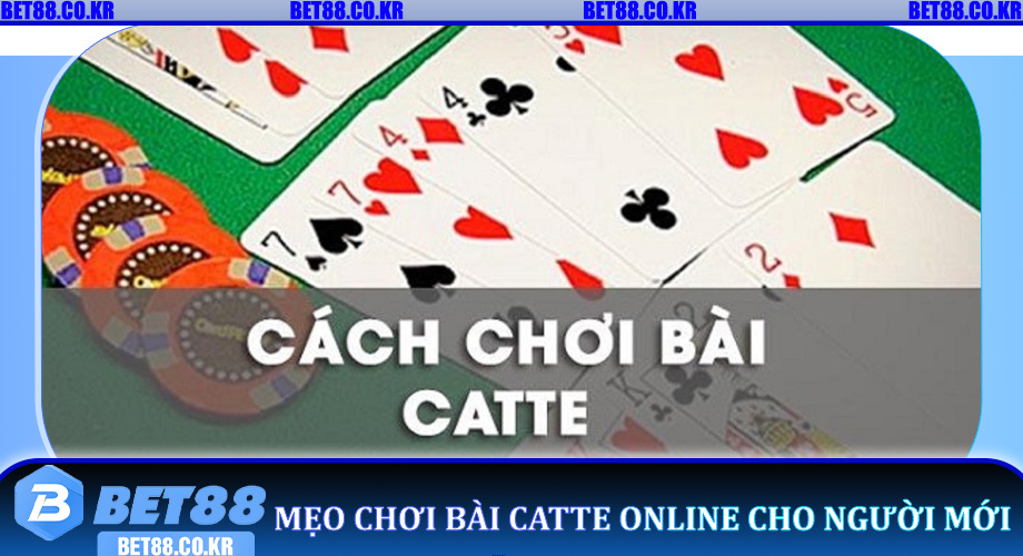 Mẹo chơi Bài Catte Online cho người mới