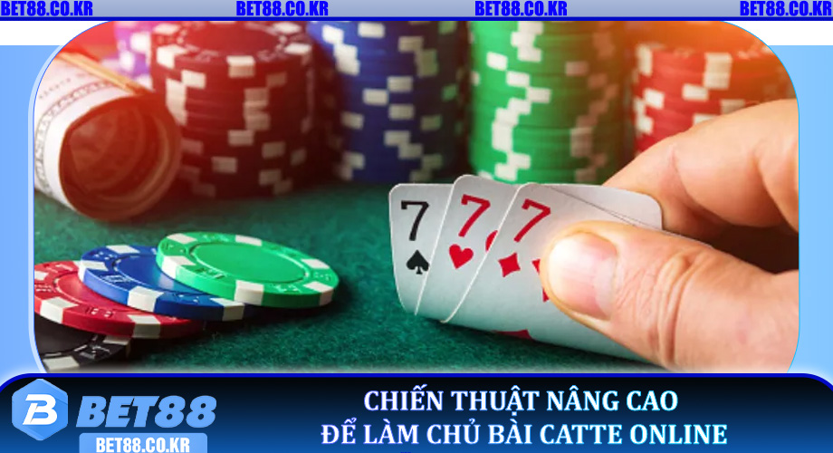 Chiến thuật nâng cao để làm chủ Bài Catte Online